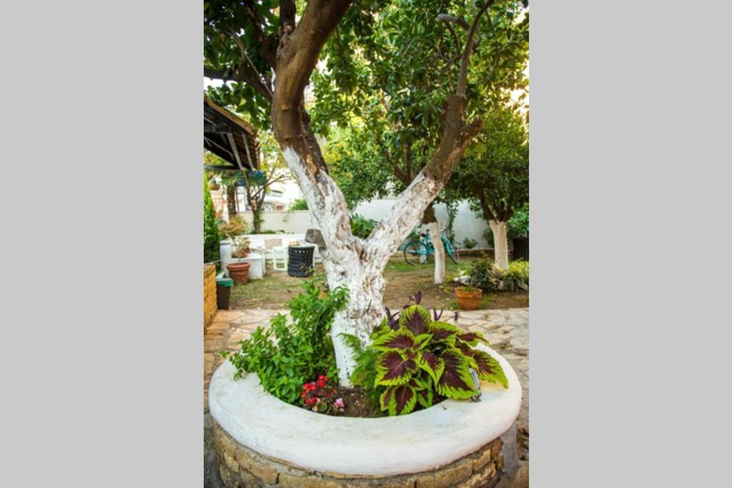 Villa Oasis Preveza Exterior foto